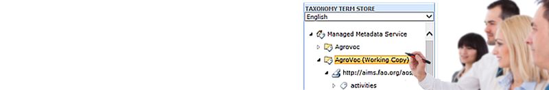 Datei:GRASP solution Terminology Management Banner.jpg